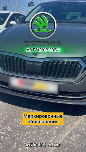 Skoda Octavia A8 IV маркировки, VIN номер, номер двигателя DJKA