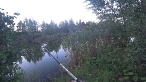 Тейл спиннер в бесклёвье