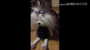 Влог с лаки доги