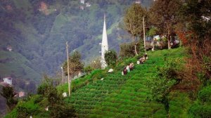 12314285_3840_2160_30fps