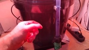 Как правильно сажать семена в установку AquaPot гидропоника