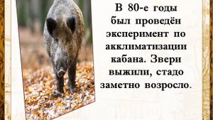 Кто где живёт, что где растёт в окрестностях Первоуральска