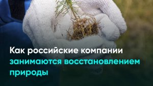 Как российские компании занимаются восстановлением природы