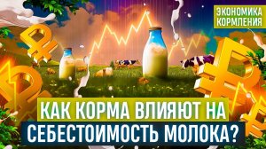 Как корма влияют на себестоимость молока?