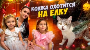 Украшаем елку к новому году 🎄 Кошка пытается завалить нашу елку 😱