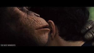 ВЫ ВСЕ ГОВНО РИТП RYTP