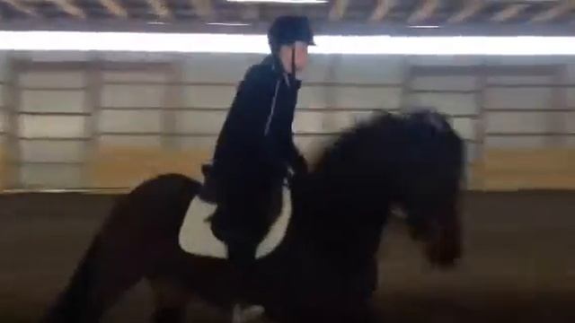 Sissy смотреть онлайн