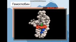 Биология 8кл Нәруыз қызметтері