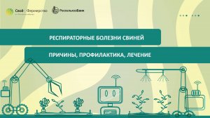 Респираторные болезни свиней: причины, профилактика, лечение