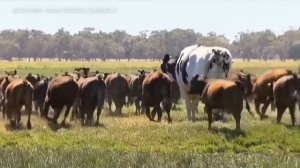 Гигантский бык