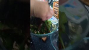 Рыба, запеченная в апельсиновом соусе.