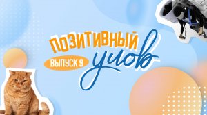 Рыжие коты и ледяная терапия. "Позитивный улов"