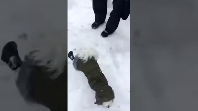 Goyo Snow boots (Winter 2006) смотреть онлайн