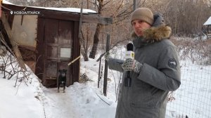 В Новоалтайске обнаружили убитую собаку и странную записку