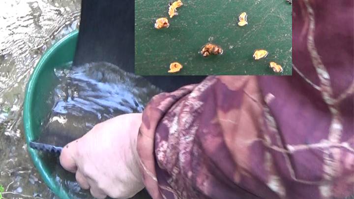 Мою самородное Золото на старинном прииске!