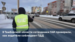 В Тамбовской области сотрудники ГАИ проверили, как водители соблюдают ПДД