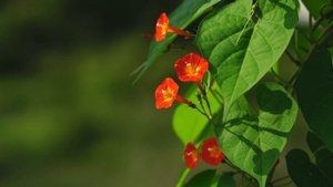 12698234_3840_2160_30fps