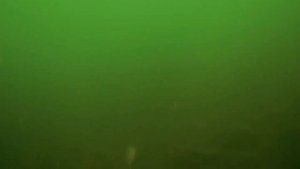 Прозрак и солнечный день  Ангара, одно из лучших мест для трофейной подводной охоты