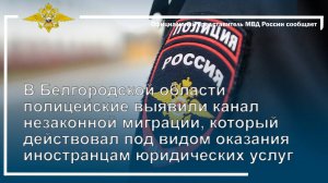 В Белгородской области полицейские выявили канал незаконной миграции