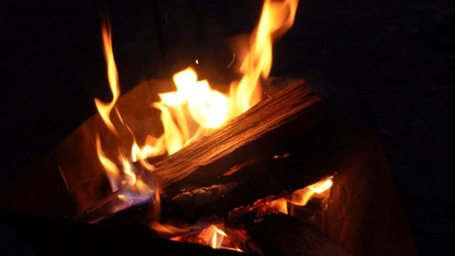 캠핑브이로그.겨울비 내리는 숲속에서 아기와 집을 짓고 하룻밤. 폭우 우중캠핑. 빗소리. ASMR