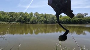 ТОЛСТОЛОБИК АТАКУЕТ, РАЗЛОВИЛ ВОДОЁМ, РЫБАЛКА 2022 ЛОВЛЯ РЫБЫ, ПРО РЫБАЛКУ