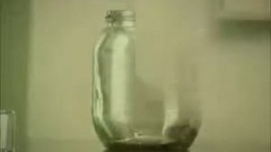 Эксперимент с блохами в банке