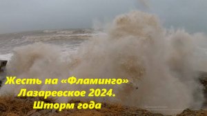 Жесть на пляже "Фламинго" Лазаревское,"Шторм века" декабрь 2024.