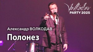 "Полонез" Александр Волкодав - Volkodav Party 2025 Москва "Евразия" 15.12.24 #концерт #live