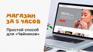 Магазин за 5 часов. Простой способ для "Чайников".