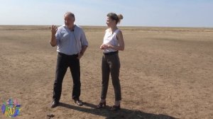 Эдильбаевская порода овец. Как организовать овцеводческое хозяйство?