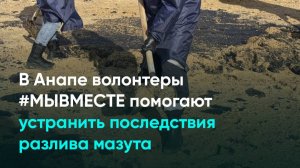 В Анапе волонтеры #МЫВМЕСТЕ помогают устранить последствия разлива мазута