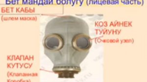 Аскерге чейинки даярдык. Шамшиев К.