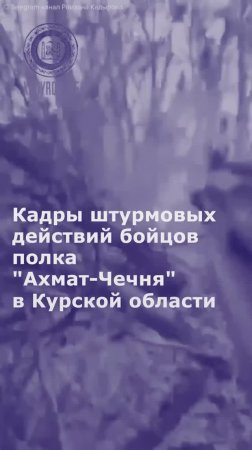 Кадры штурмовых действий бойцов полка "Ахмат-Чечня" в Курской области