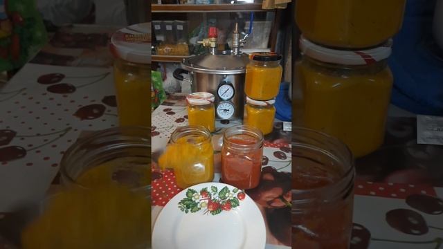 Автоклав Фансел Лайт. Идеальный помощник на кухне. #автоклав #жизньвдеревне #жизньзагородом #хутор