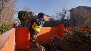 В Первомайском районе Владивостока прошел рейд по пресечению незаконной торговли елками.