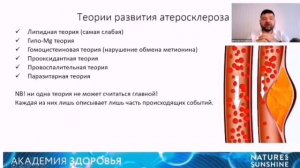 Атеросклероз. Подробная лекция Антилевского
