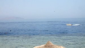 Море в отеле Ренессанс Шарм эль Шейх апрель 2019
