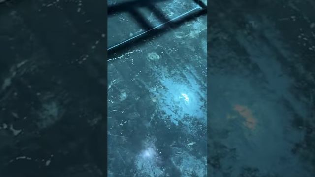 #shorts смотреть онлайн