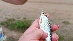 Юра Шатунов *А лето цвета неба *.действительно 💕лето это маленькая жизнь.