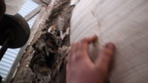 фусо файтер 92г 6д16. Замена масла в коробке, небольшое ТО