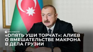 "Опять уши торчат": Алиев о вмешательстве Макрона в дела Грузии