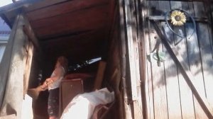 Убираю в сарае с пауками/Превращаю в форт.