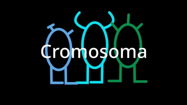 Cromosoma Logo Bloopers Take 2: Cyan replaces Red