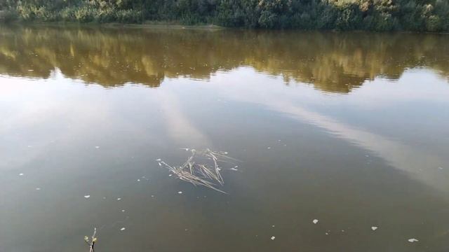 Ночёвка в палатке!!! смотреть онлайн