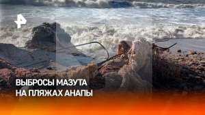 На пляжах Анапы фиксируют новые выбросы мазута / РЕН Новости