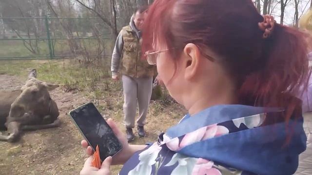 Лосеферма Сумароково