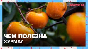 Чем полезна ХУРМА? | Доктор 24