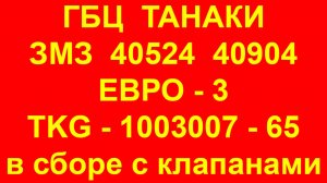 Головка блока цилиндров ЗМЗ 40524 40904 ГБЦ Танаки TKG-1003007-65 Евро-3