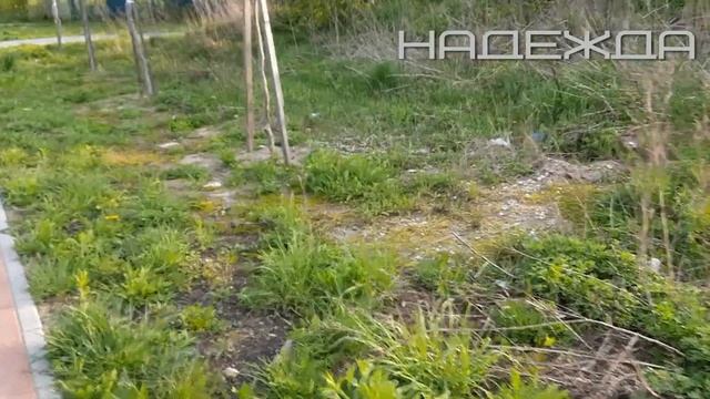 КАЛИНИНГРАД. МОЙ ЛЮБИМЫЙ РАЙОН.КАЖДЫЙ КУЛИК СВОЁ БОЛОТО ХВАЛИТ.  МНЕ НРАВИТСЯ,   ПОТОМУ ЧТО ЛЮБЛЮ..