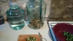 Наивкуснейшая и очень полезная настойка самогона на фейхоа и клюкве.